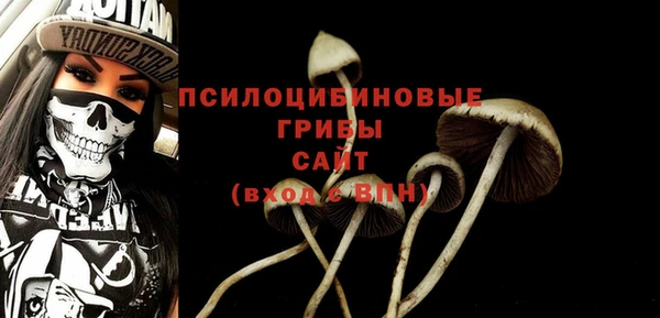 PSILOCYBIN Богородск