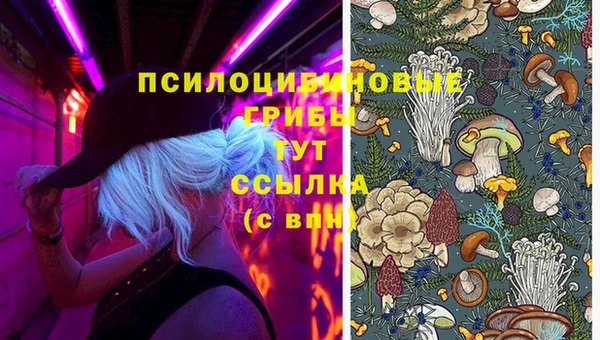 кокаин Богданович