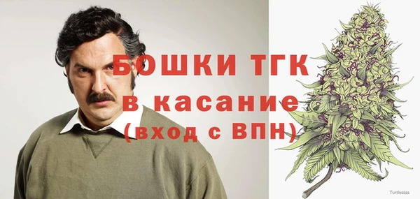 PSILOCYBIN Богородск