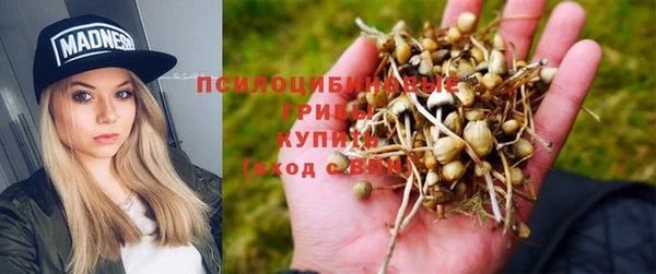 кокаин Богданович