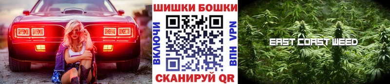 Бошки Шишки конопля  Ахтырский 